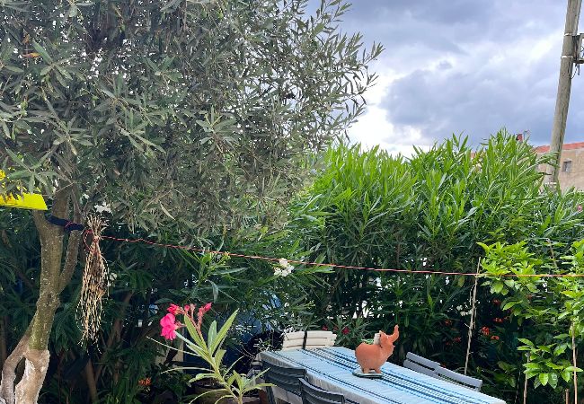 House in Biarritz - MARINE - vue mer et jardin- Côte des basques House in Biarritz - MARINE - vue mer et jardin- Côte des basques