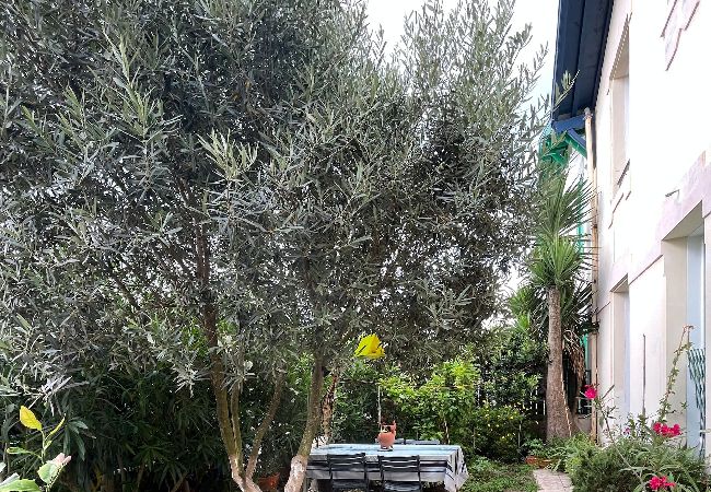 House in Biarritz - MARINE - vue mer et jardin- Côte des basques House in Biarritz - MARINE - vue mer et jardin- Côte des basques