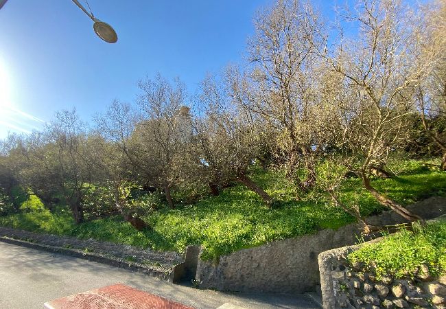 Apartment in Biarritz - LIBERTAD - Atalaye Apartment in Biarritz - LIBERTAD - Atalaye