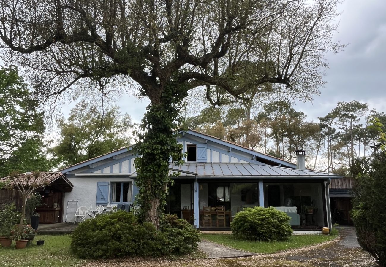 House in Ondres - ARBOUSIERS