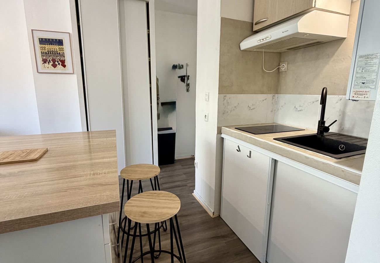 Apartment in Bayonne - TXOKO