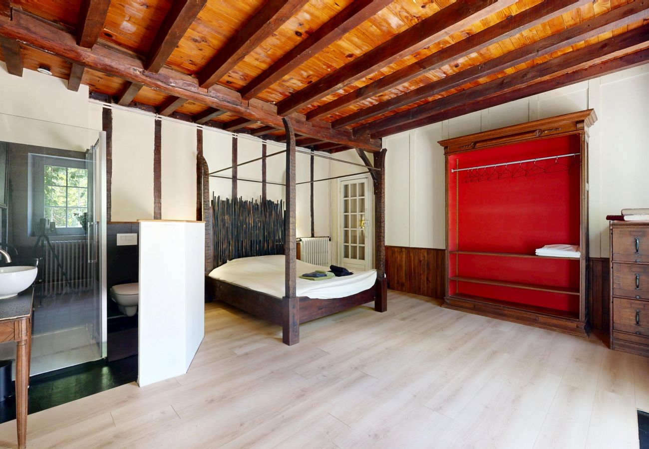 Country house in Ondres - CHATAIGNERAIE