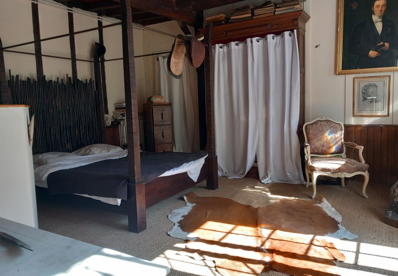 Apartment in Ondres - BOGUE
