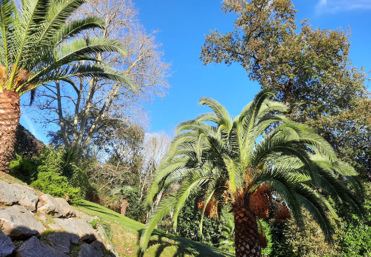 Appartement à Biarritz - PAMPAS