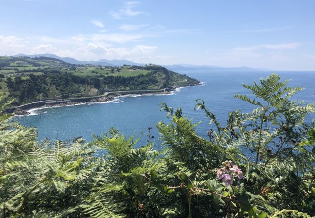  à Bidart - PARLEMENTIA