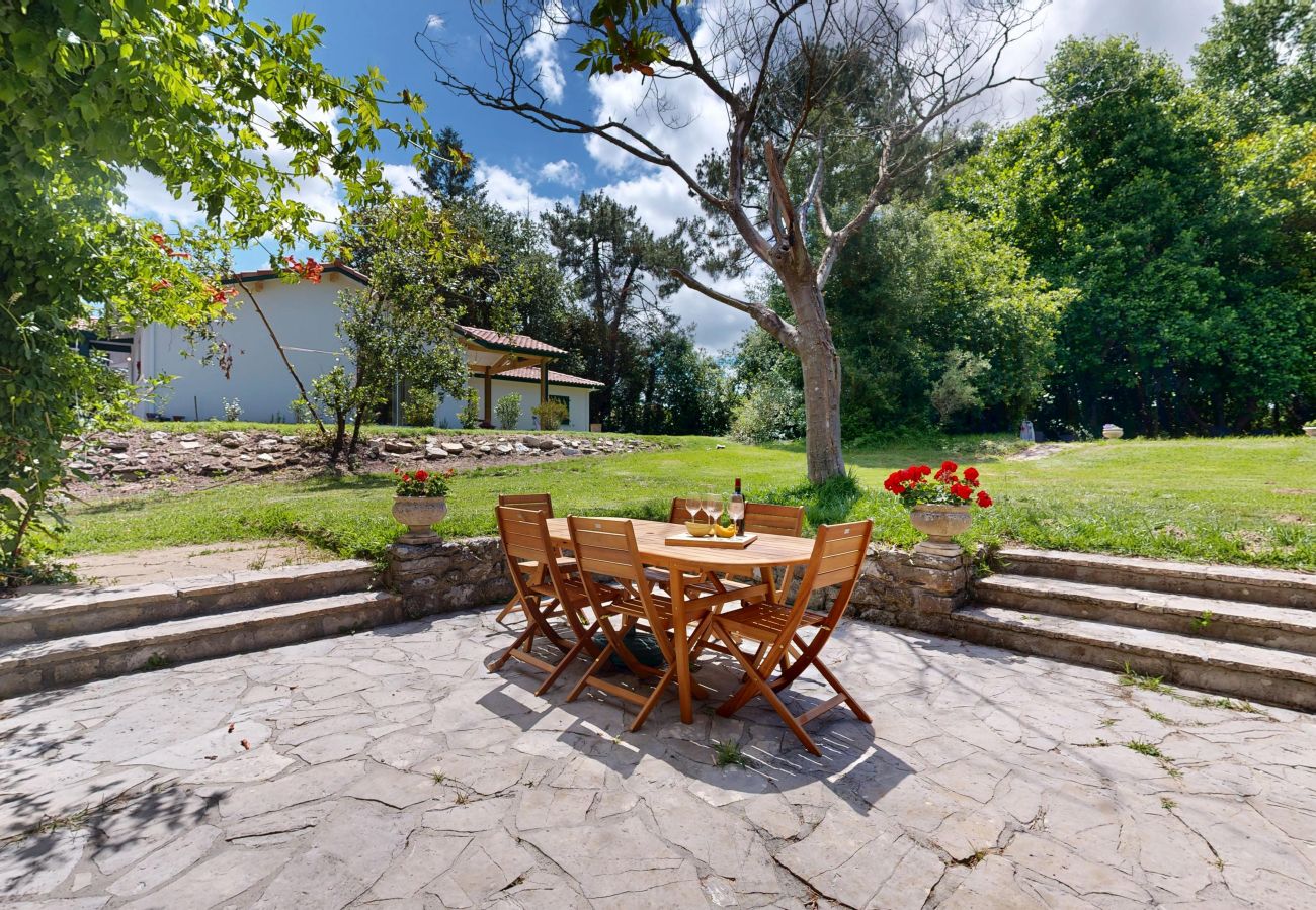 Domaine à Ondres - CHATAIGNERAIE
